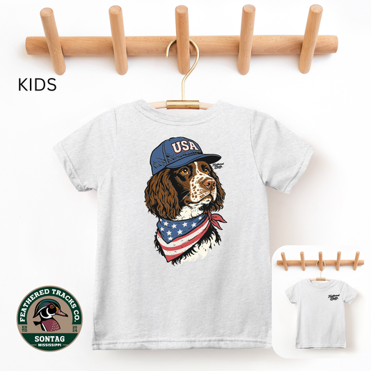 USA English Springer Spaniel