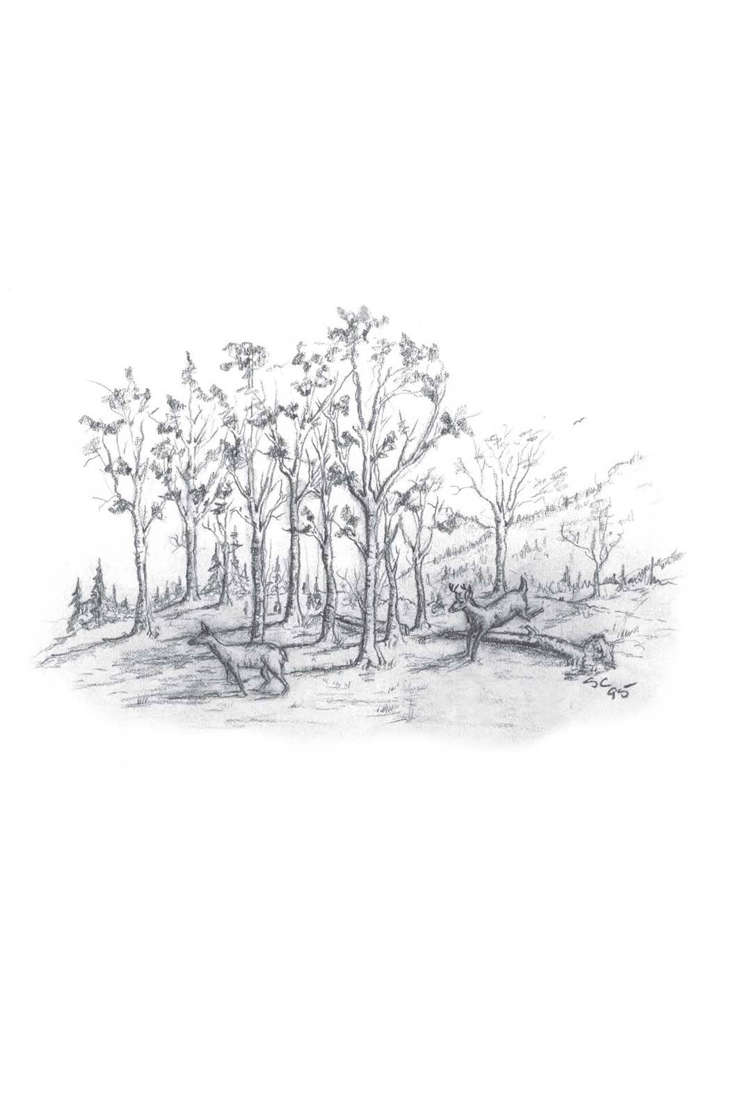 A Look at Life from a Deer Stand (Milano Softone)