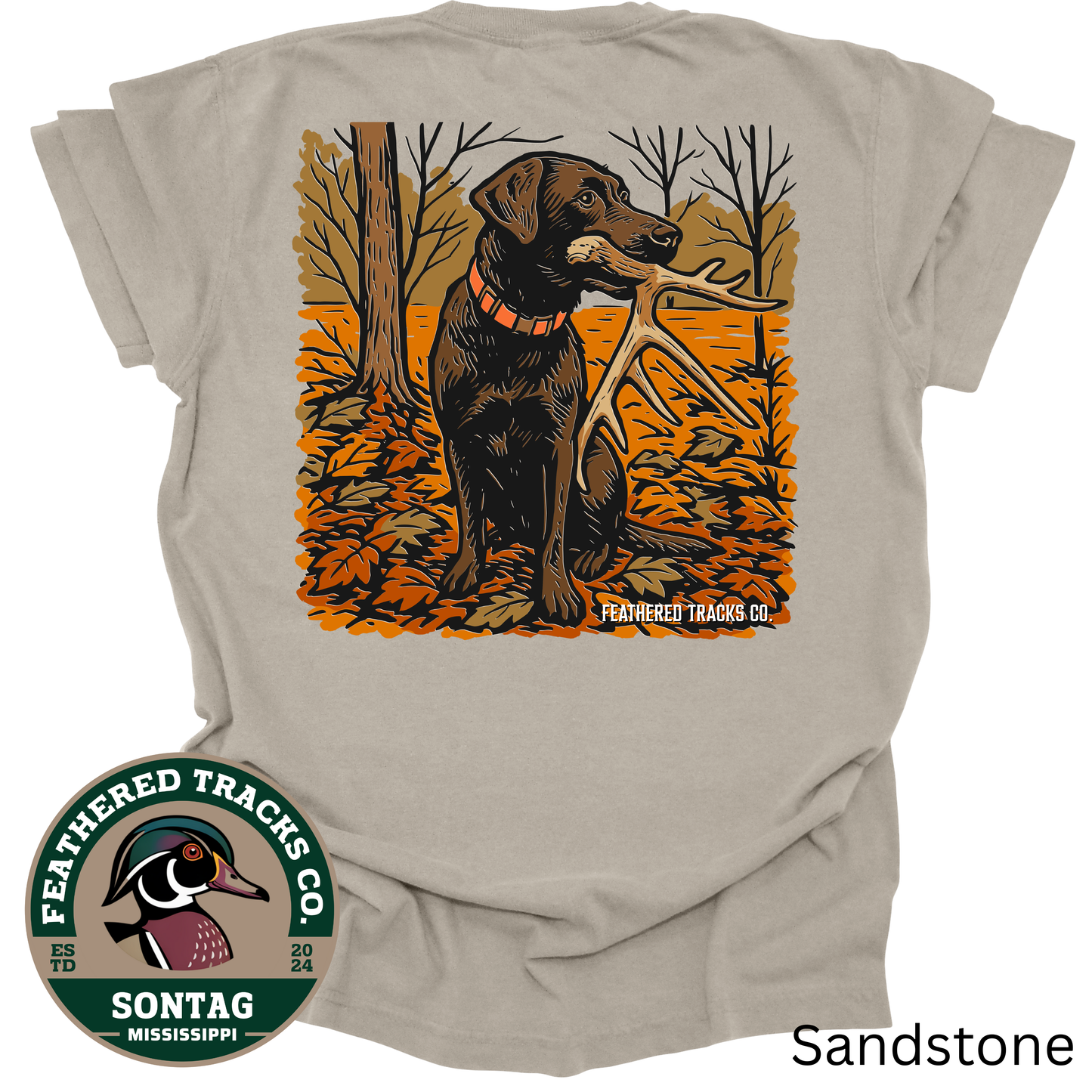 Lab w/ Antler