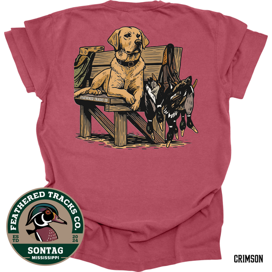 Yellow Lab Hunting
