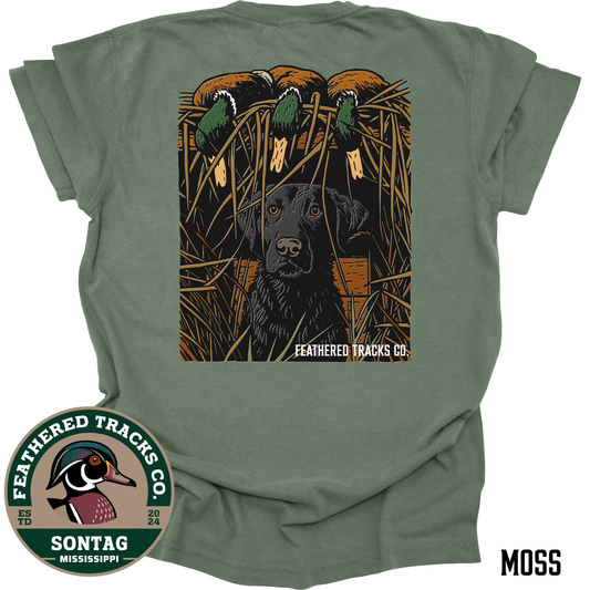 Black Lab With Mallards
