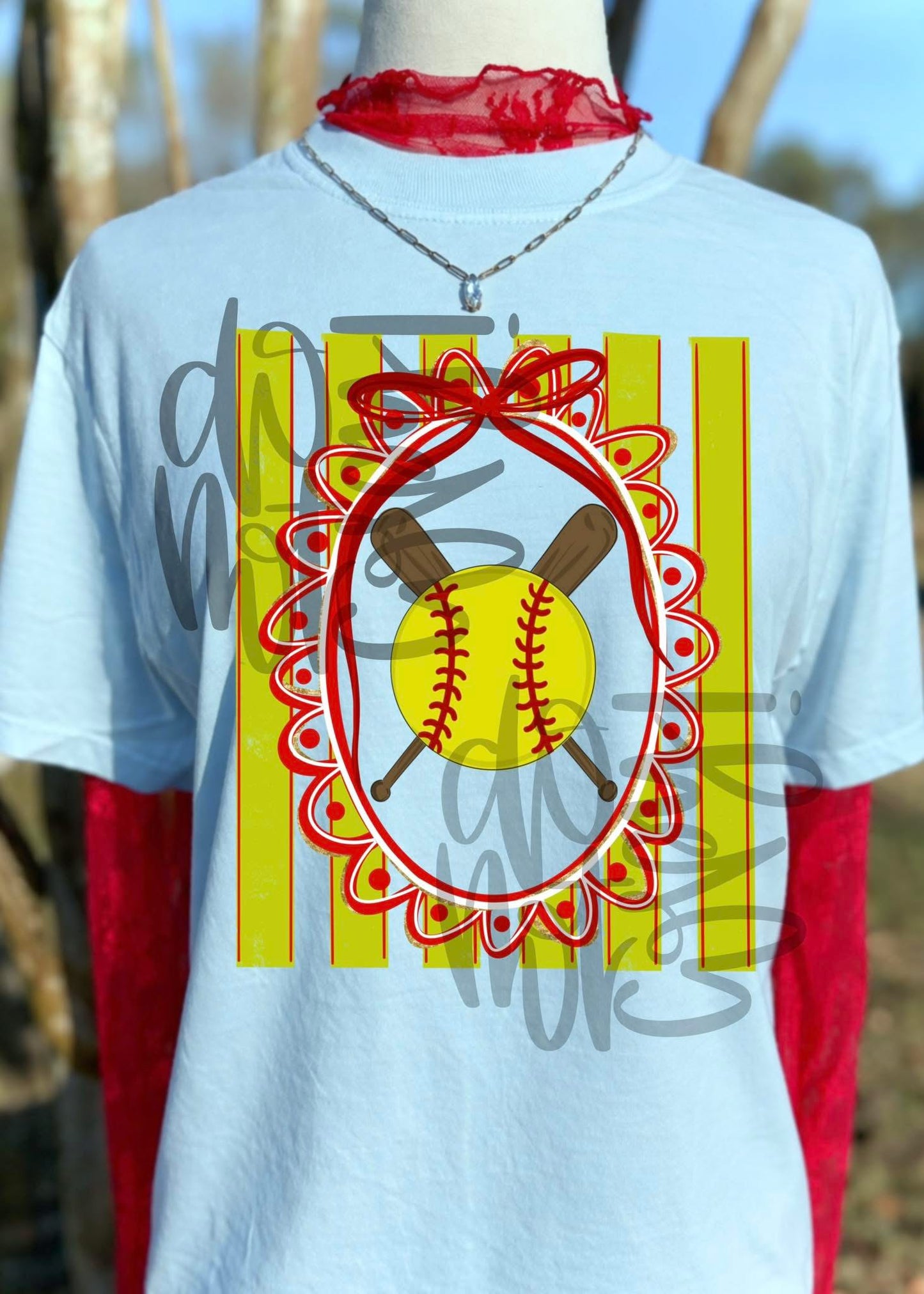 Softball Frame