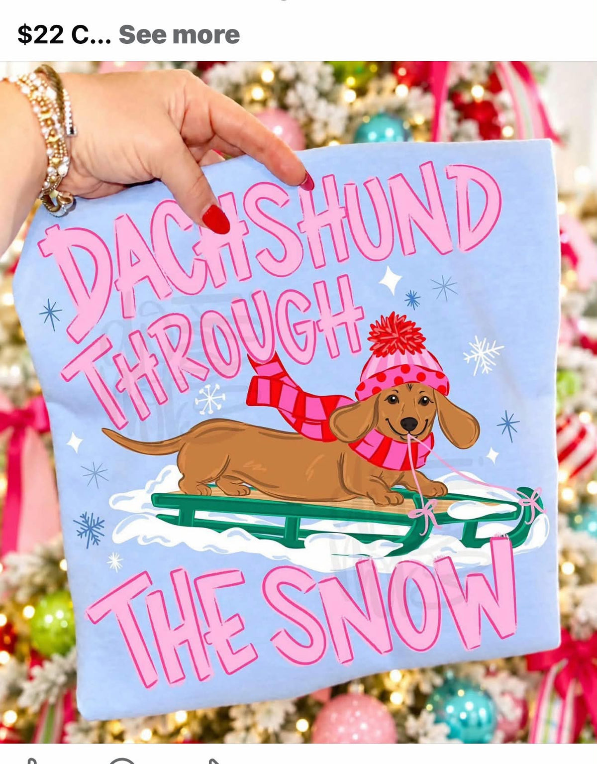 Dachshund Through the snow