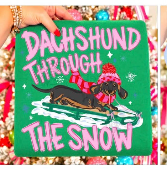 Dachshund Through the snow